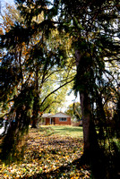 Abby+Kyle_110318-2