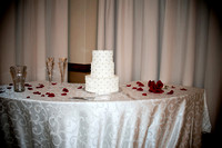 Sheraton Austin Wedding