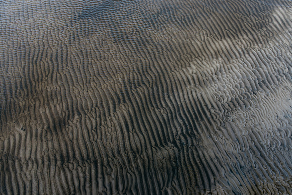 canvas-6