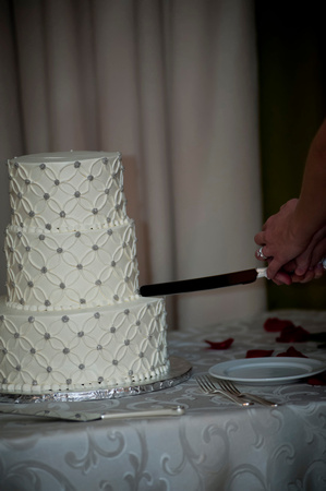 Sheraton Austin Wedding