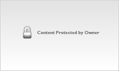 Portfolio download